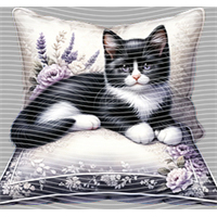 Animal Integration-DW 678